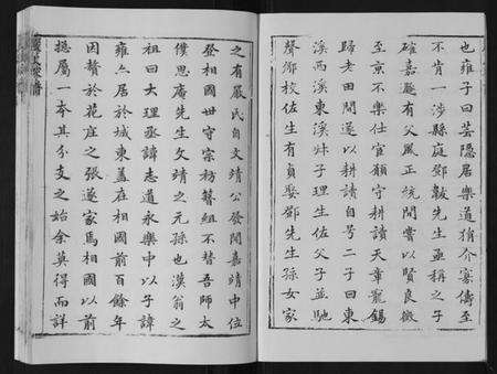 江苏严氏族谱-严氏家谱[不分卷].pdf电子版预览图2