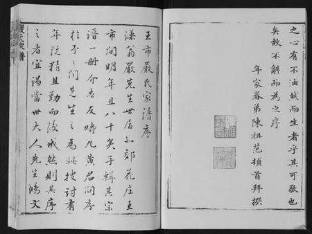 江苏严氏族谱-严氏家谱[不分卷].pdf电子版预览图5