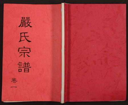 湖北严氏族谱-严氏宗谱.pdf电子版缩略图