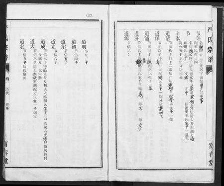 湖北严氏族谱-严氏宗谱.pdf电子版预览图4