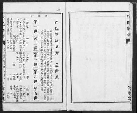 湖北严氏族谱-严氏宗谱.pdf电子版预览图5