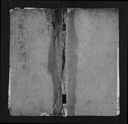 湖北严氏族谱-严氏宗谱[不分卷].pdf电子版缩略图