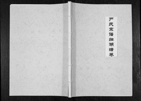 湖北严氏族谱-严氏宗谱细湖塘卷.pdf电子版缩略图