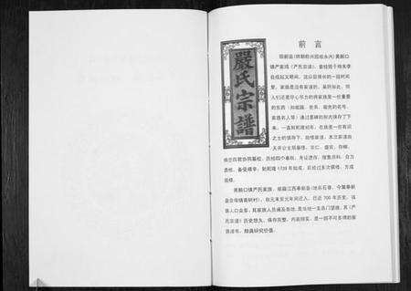 湖北严氏族谱-严氏宗谱细湖塘卷.pdf电子版预览图2