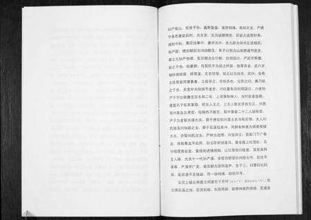 湖北严氏族谱-严氏宗谱细湖塘卷.pdf电子版预览图5