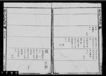 中国杨氏族谱-杨氏大成谱.pdf电子版预览图4