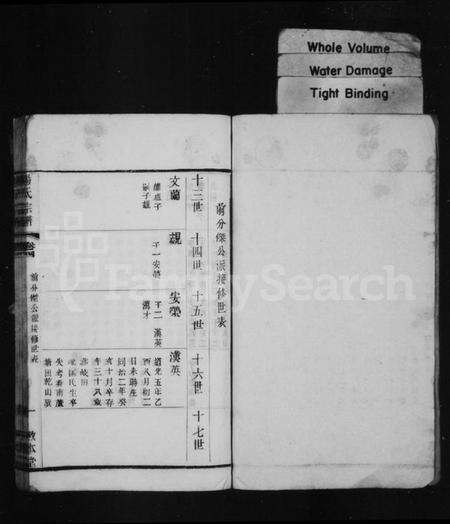 中国杨氏族谱-杨氏宗谱.pdf电子版预览图1