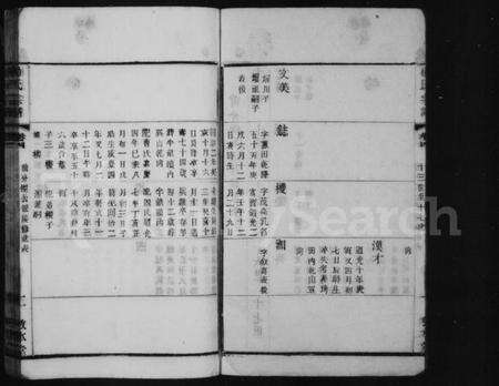 中国杨氏族谱-杨氏宗谱.pdf电子版预览图2