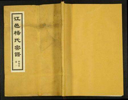 江苏杨氏族谱-杨氏宗谱.pdf电子版缩略图