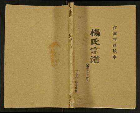 江苏杨氏族谱-杨氏宗谱.pdf电子版缩略图