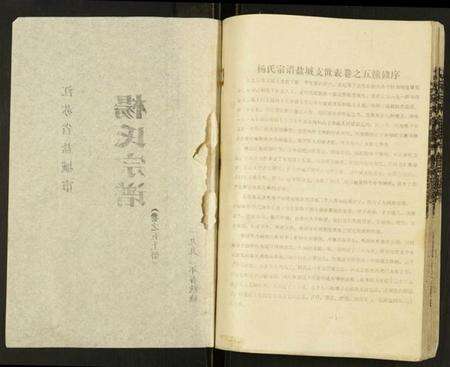 江苏杨氏族谱-杨氏宗谱.pdf电子版预览图2