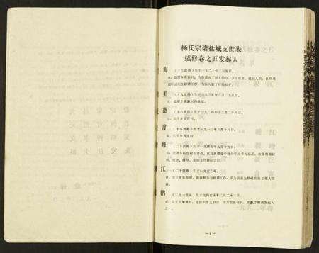 江苏杨氏族谱-杨氏宗谱.pdf电子版预览图4