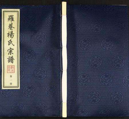 江苏杨氏族谱-杨氏宗谱.pdf电子版缩略图