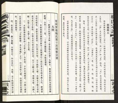 江苏杨氏族谱-杨氏宗谱.pdf电子版预览图4