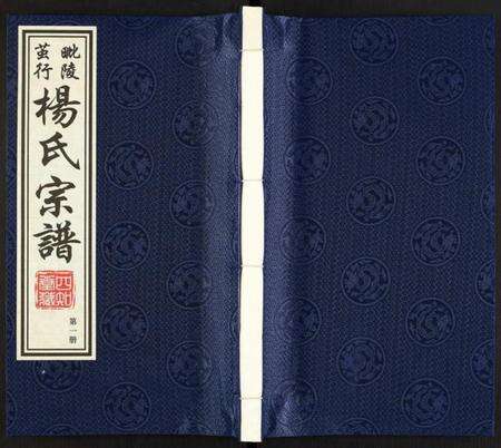 江苏杨氏族谱-杨氏宗谱.pdf电子版缩略图