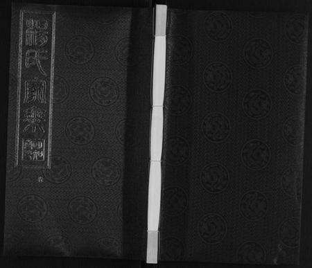 江苏杨氏族谱-杨氏宗谱.pdf电子版缩略图