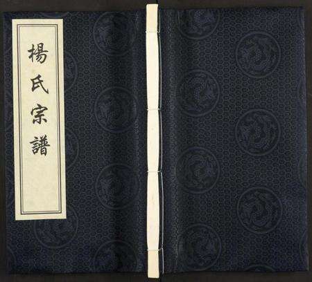 江苏杨氏族谱-杨氏宗谱 [全1册].pdf电子版缩略图