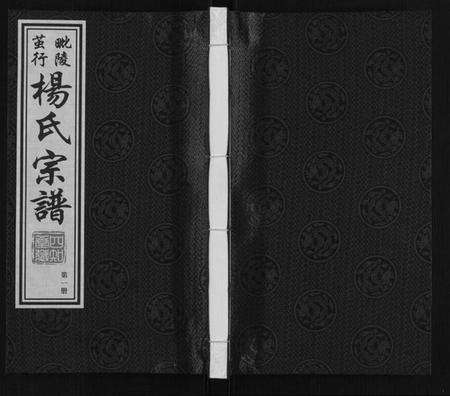 江苏杨氏族谱-杨氏宗谱[12卷首1卷].pdf电子版缩略图