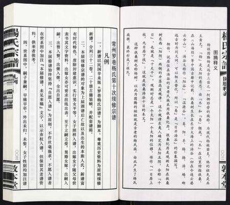 江苏杨氏族谱-杨氏宗谱[32卷首1卷].pdf电子版预览图4