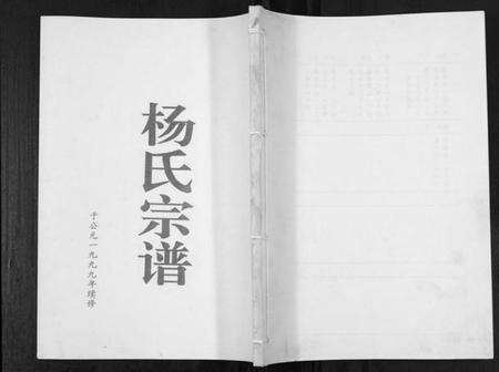 江苏杨氏族谱-杨氏宗谱[不分卷].pdf电子版缩略图