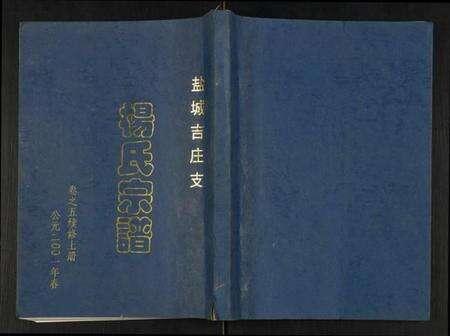 江苏杨氏族谱-杨氏宗谱吉庄支.pdf电子版缩略图