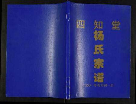 江苏杨氏族谱-杨氏氏宗谱.pdf电子版缩略图