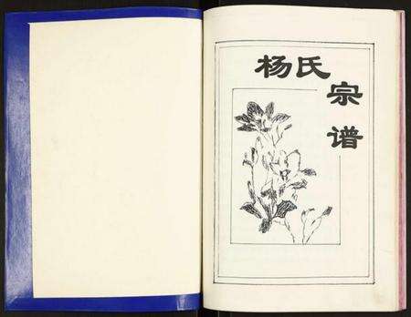 江苏杨氏族谱-杨氏氏宗谱.pdf电子版预览图1