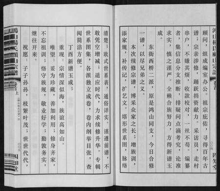 江苏杨氏族谱-鸿山杨氏顾山宗谱[15卷首2卷末1卷].pdf电子版预览图3