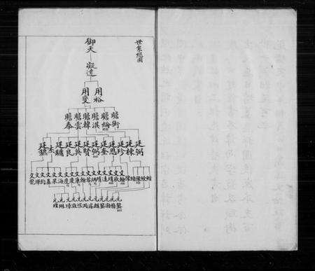 江苏杨氏族谱-宏农郡杨氏家谱.pdf电子版预览图2