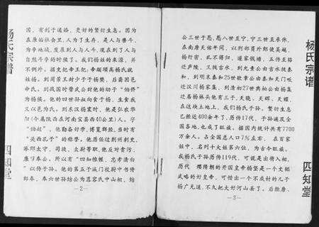 湖北杨氏族谱-杨氏宗谱.pdf电子版预览图2