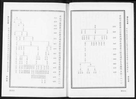 湖北杨氏族谱-杨氏宗谱.pdf电子版预览图2