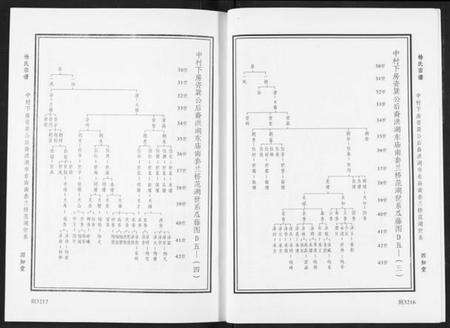 湖北杨氏族谱-杨氏宗谱.pdf电子版预览图3