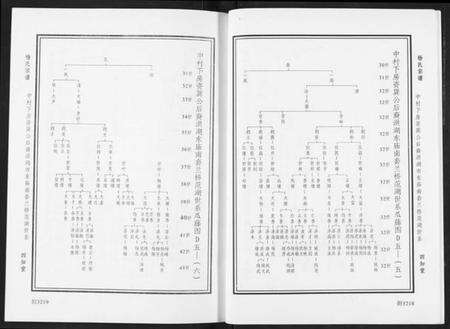 湖北杨氏族谱-杨氏宗谱.pdf电子版预览图4