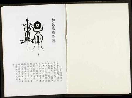 湖北杨氏族谱-杨氏宗谱.pdf电子版预览图2