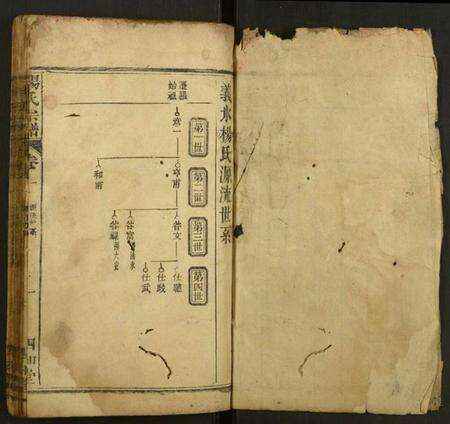 湖北杨氏族谱-杨氏宗谱.pdf电子版预览图1