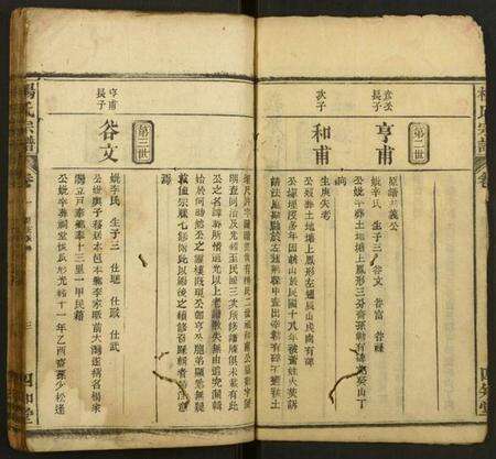 湖北杨氏族谱-杨氏宗谱.pdf电子版预览图3