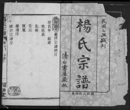 湖北杨氏族谱-杨氏宗谱.pdf电子版预览图2