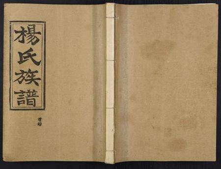 湖北杨氏族谱-杨氏族谱.pdf电子版缩略图