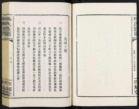 湖北杨氏族谱-杨氏族谱.pdf电子版预览图4