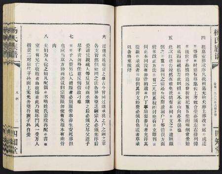 湖北杨氏族谱-杨氏族谱.pdf电子版预览图5