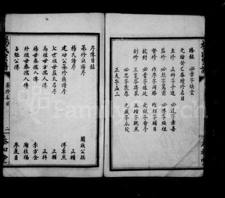 湖北杨氏族谱-杨氏宗谱.pdf电子版预览图2