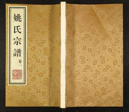 江苏姚氏族谱-姚氏宗谱.pdf电子版缩略图