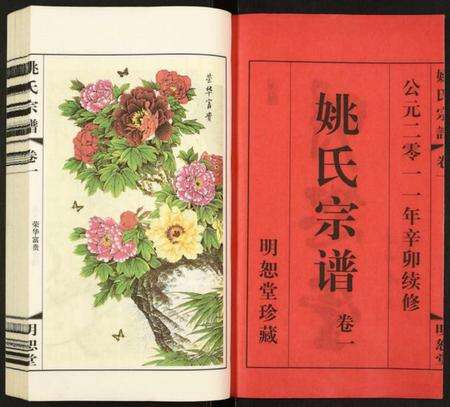 江苏姚氏族谱-姚氏宗谱.pdf电子版预览图2