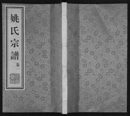 江苏姚氏族谱-姚氏宗谱[8卷].pdf电子版缩略图