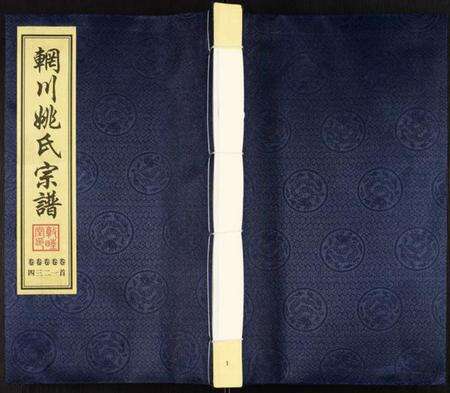 江苏姚氏族谱-辋川姚氏宗谱.pdf电子版缩略图