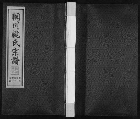 江苏姚氏族谱-辋川姚氏宗谱[13卷首1卷].pdf电子版缩略图