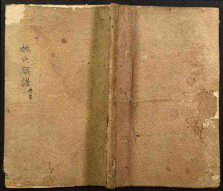 湖北姚氏族谱-姚氏族谱.pdf电子版缩略图