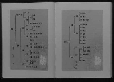 湖北姚氏族谱-安陆市三陂姚榨竹箩姚氏宗谱[不分卷].pdf电子版预览图5