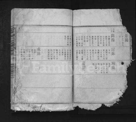 湖北姚氏族谱-南山姚氏宗谱 [残卷].pdf电子版预览图2