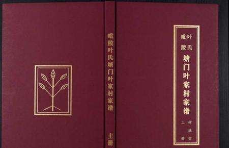 江苏叶氏族谱-毗陵塘门叶氏家谱[上下册].pdf电子版缩略图